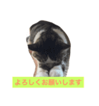 むーちろ（個別スタンプ：10）
