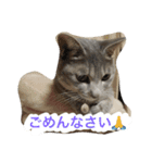 むーちろ（個別スタンプ：11）