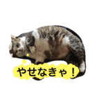 むーちろ（個別スタンプ：12）