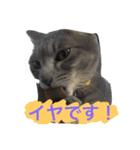 むーちろ（個別スタンプ：13）