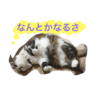 むーちろ（個別スタンプ：14）