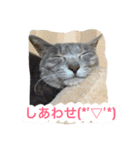 むーちろ（個別スタンプ：16）