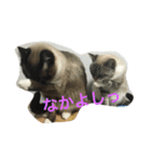 うりねぎさん パート2（個別スタンプ：11）