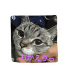 うりねぎさん パート2（個別スタンプ：29）