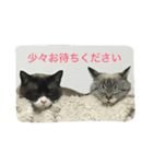 うりねぎさん パート2（個別スタンプ：30）