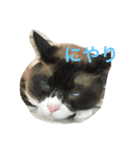 うりねぎさん パート2（個別スタンプ：32）