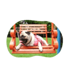OmYim The Pug（個別スタンプ：8）