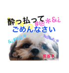 ちぇる。（個別スタンプ：2）