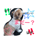 ちぇる。（個別スタンプ：6）