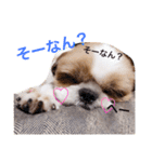 ちぇる。（個別スタンプ：7）