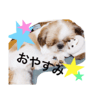 ちぇる。（個別スタンプ：8）