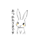 しろうさアビー（個別スタンプ：2）
