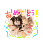 チワワのみりちゃ（個別スタンプ：34）