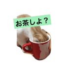 うちのちーさん（個別スタンプ：2）