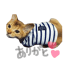 ちくわ の 1日（個別スタンプ：3）