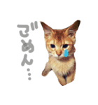 ちくわ の 1日（個別スタンプ：4）