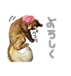 ちくわ の 1日（個別スタンプ：5）