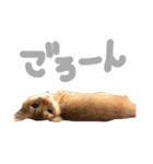 ちくわ の 1日（個別スタンプ：6）
