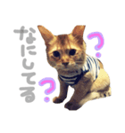 ちくわ の 1日（個別スタンプ：9）