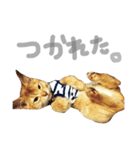 ちくわ の 1日（個別スタンプ：13）