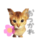ちくわ の 1日（個別スタンプ：14）
