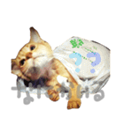 ちくわ の 1日（個別スタンプ：15）