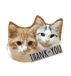 The  Cats（個別スタンプ：6）