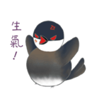 Magic beans daily life（個別スタンプ：2）