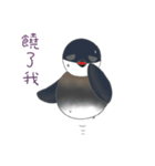 Magic beans daily life（個別スタンプ：9）