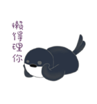 Magic beans daily life（個別スタンプ：20）