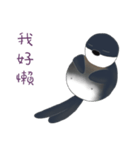 Magic beans daily life（個別スタンプ：28）
