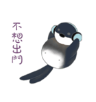 Magic beans daily life（個別スタンプ：32）