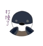 Magic beans daily life（個別スタンプ：35）