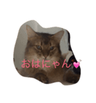 わぁくん（個別スタンプ：2）