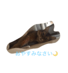 わぁくん（個別スタンプ：4）