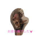 わぁくん（個別スタンプ：6）