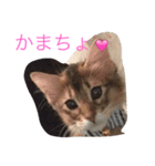 わぁくん（個別スタンプ：7）
