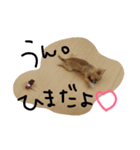 サブレお嬢様の日常（個別スタンプ：5）