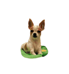 CHIHUAHUA Expressions（個別スタンプ：3）