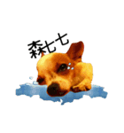 CHIHUAHUA Expressions（個別スタンプ：5）