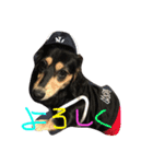 愛犬ひまわりと仲間達♡（個別スタンプ：18）