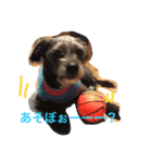 DOGs！！（個別スタンプ：1）