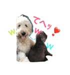 DOGs！！（個別スタンプ：2）