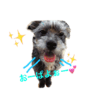 DOGs！！（個別スタンプ：3）