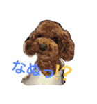 DOGs！！（個別スタンプ：6）