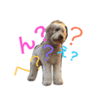 DOGs！！（個別スタンプ：7）