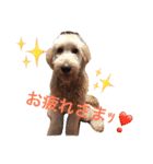 DOGs！！（個別スタンプ：8）