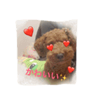 DOGs！！（個別スタンプ：9）
