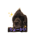 DOGs！！（個別スタンプ：10）