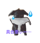 DOGs！！（個別スタンプ：11）